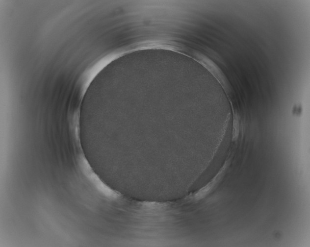 X0000112530812200909141246