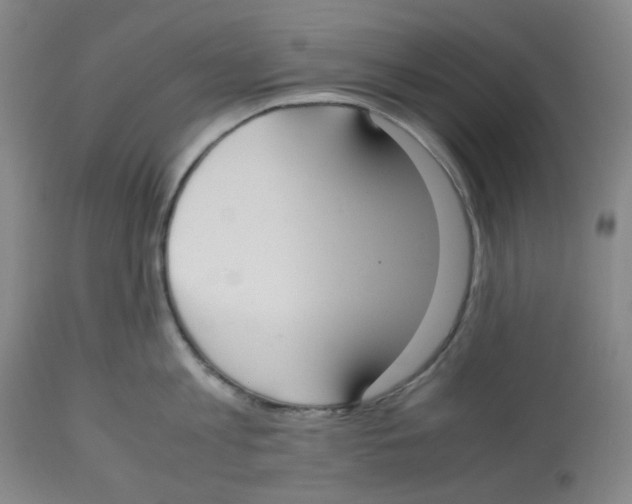 X0000112530813200909141246