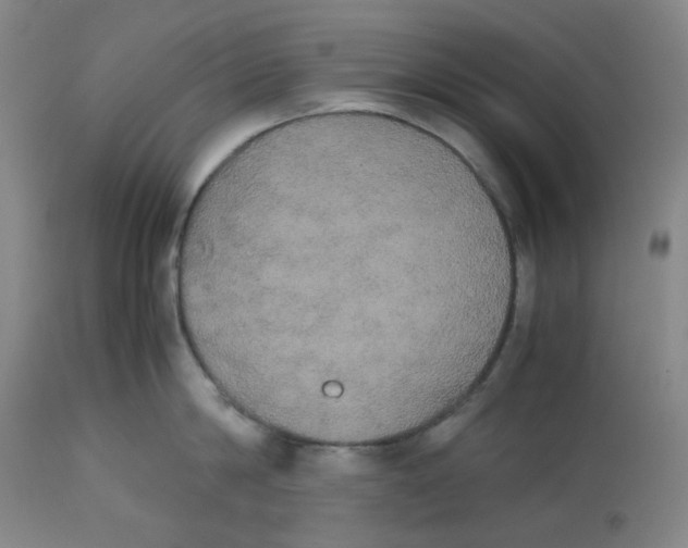 X0000112530814200909141245