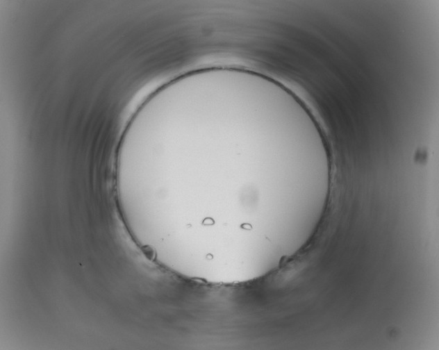 X0000112530815200909141245