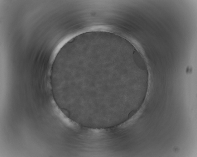 X0000112530816200909141245