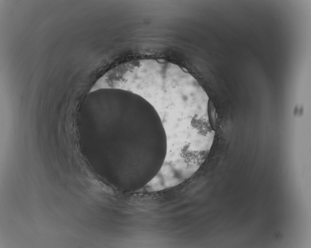 X0000112530817200909141245