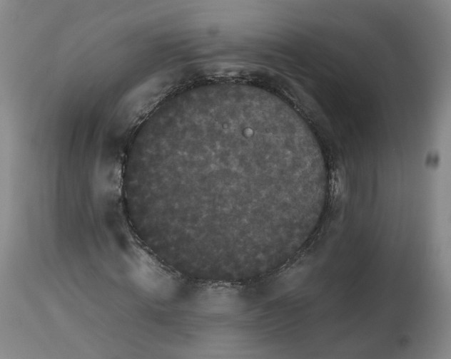 X0000112530820200909141245