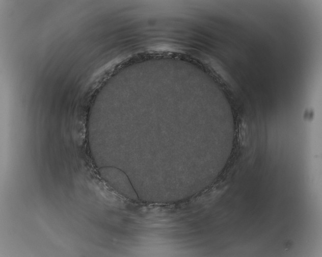 X0000112530821200909141245