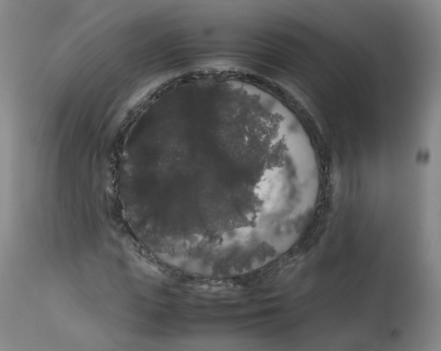 X0000112530823200909141245