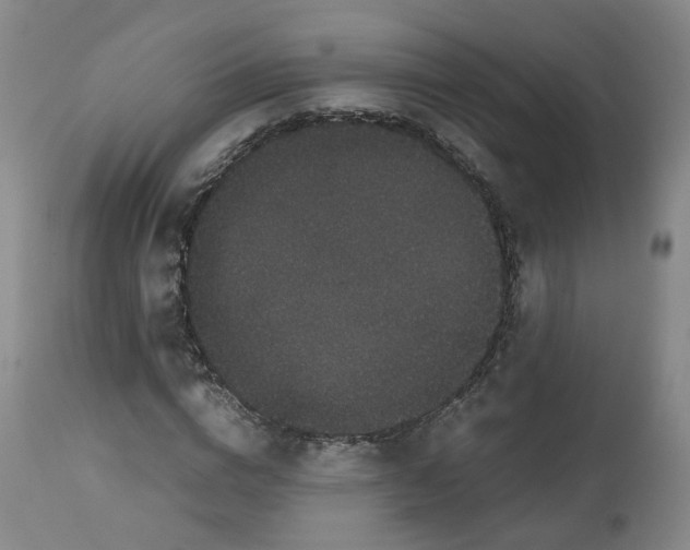 X0000112530824200909141245