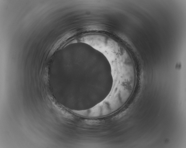 X0000112530825200909141245