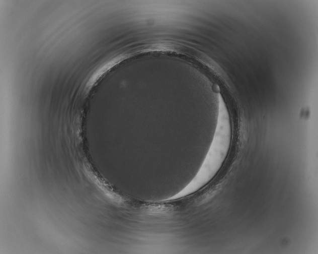 X0000112530826200909141245