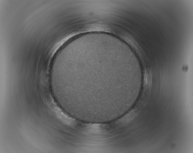 X0000112530828200909141245