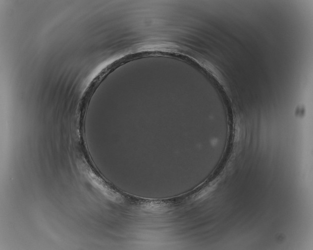 X0000112530830200909141245