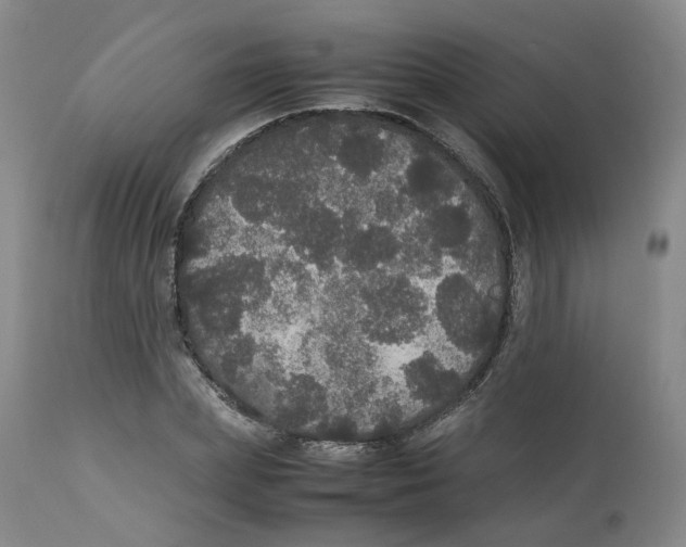 X0000112530831200909141245