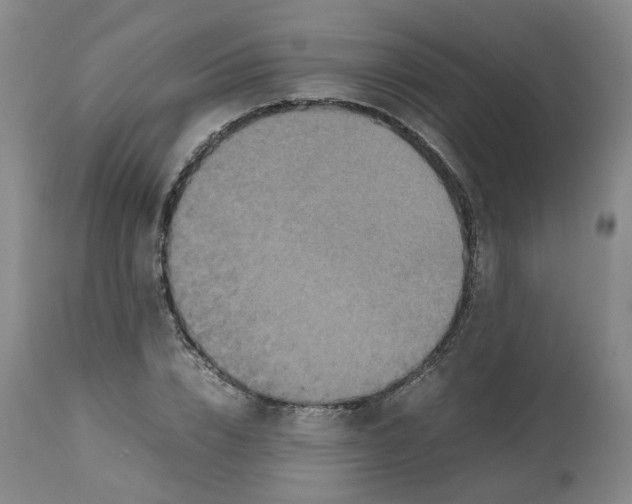 X0000112530832200909141245