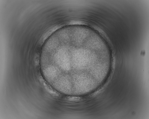 X0000112530833200909141245