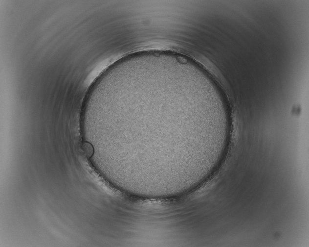 X0000112530834200909141245