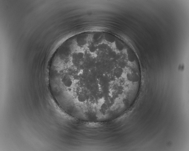 X0000112530835200909141245