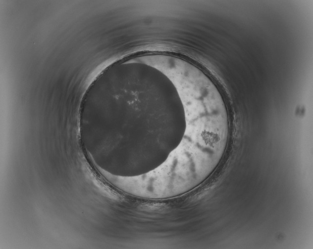 X0000112530837200909141245