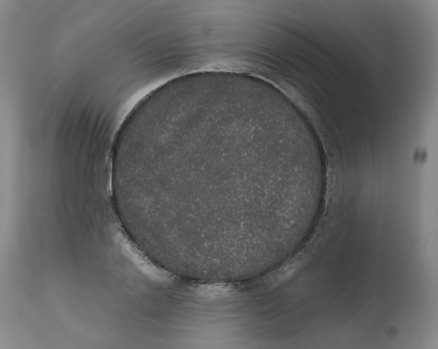 X0000112530838200909141245