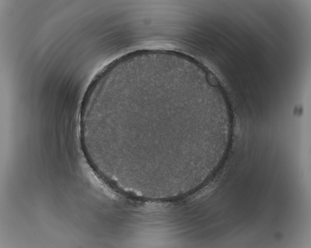 X0000112530840200909141245