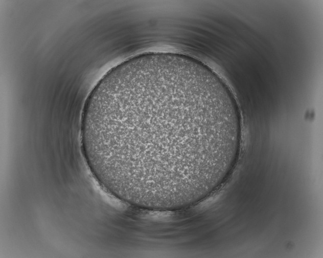 X0000112530845200909141245