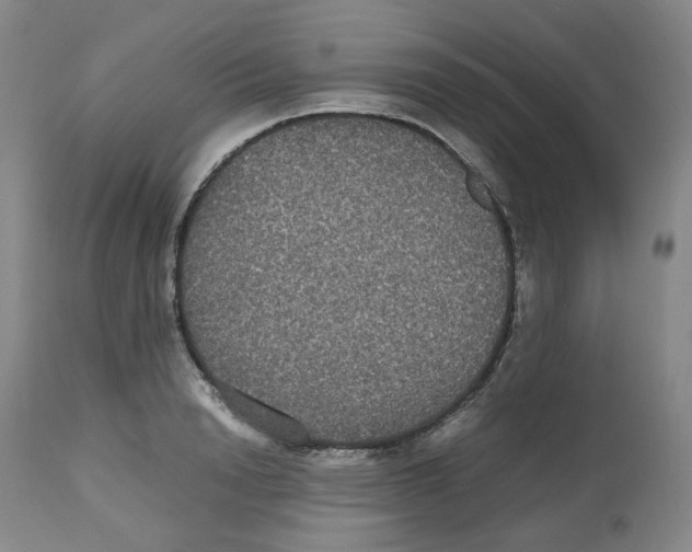 X0000112530846200909141245