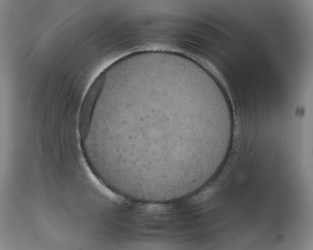 X0000112530847200909141245