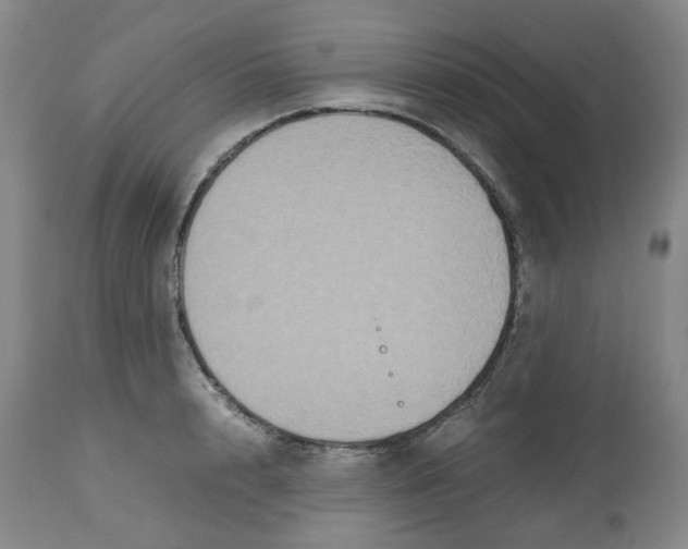 X0000112530848200909141245