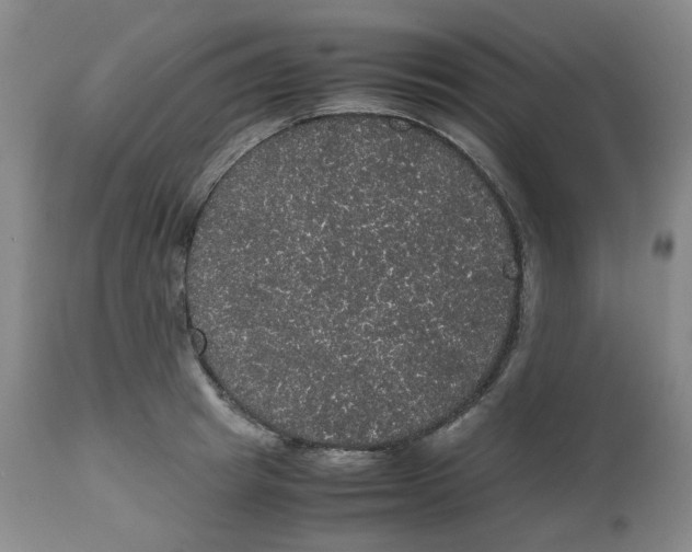 X0000112530849200909141245