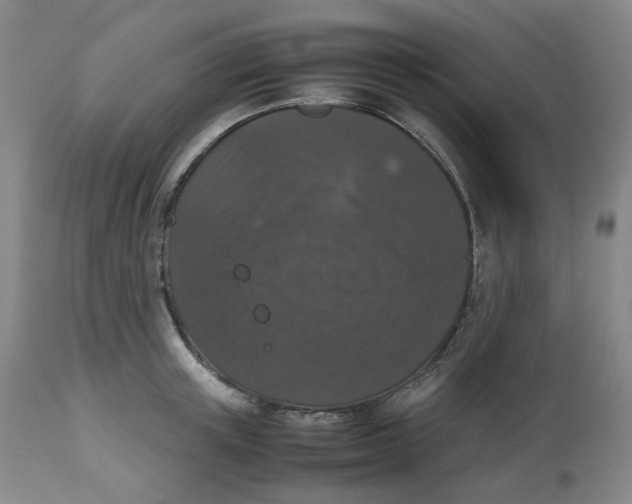 X0000112530851200909141245