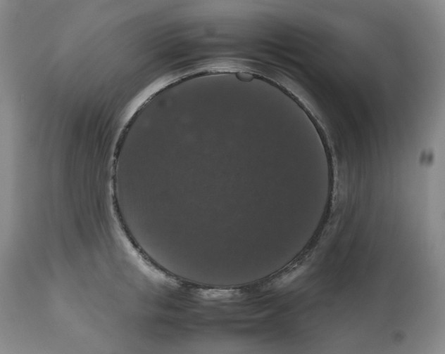 X0000112530853200909141245