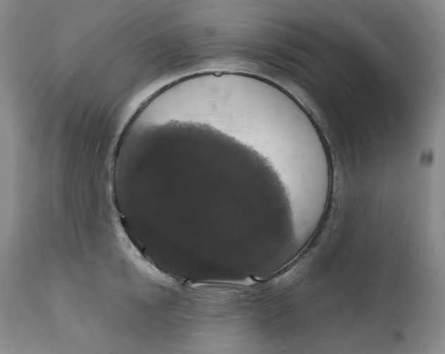 X0000112530854200909141245