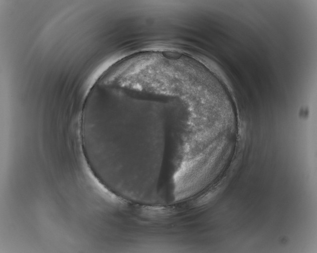 X0000112530855200909141245