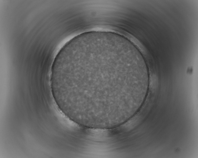 X0000112530856200909141245