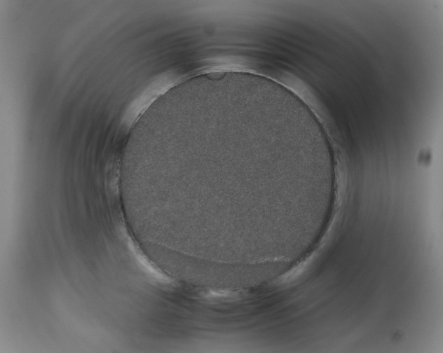 X0000112530857200909141245