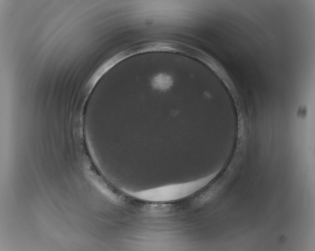 X0000112530858200909141245