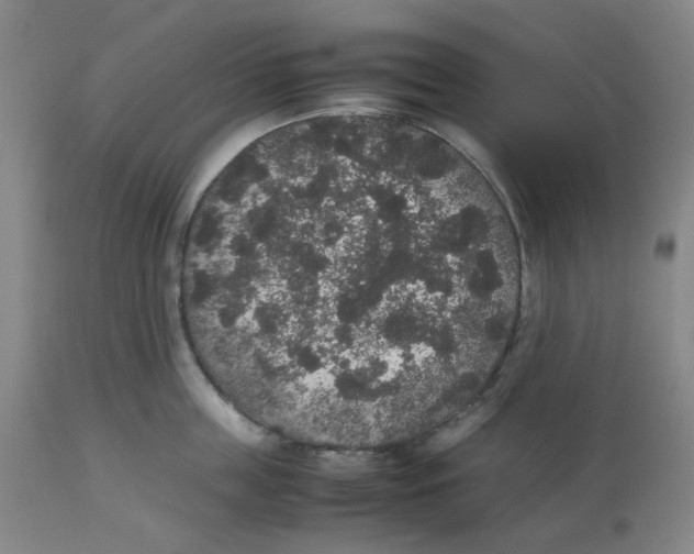 X0000112530859200909141245