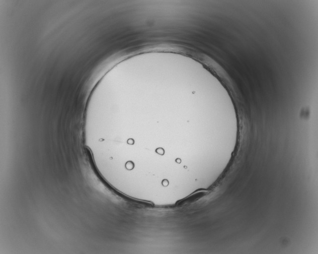 X0000112530860200909141245