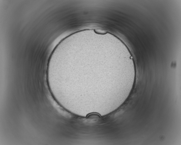 X0000112530861200909141245