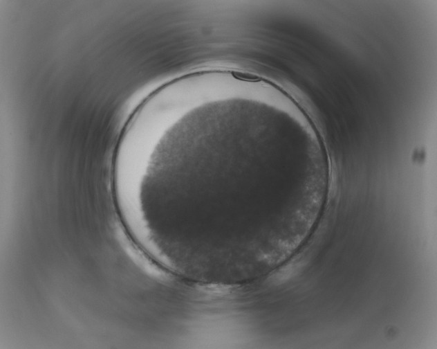 X0000112530862200909141245