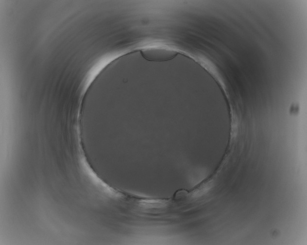 X0000112530863200909141245