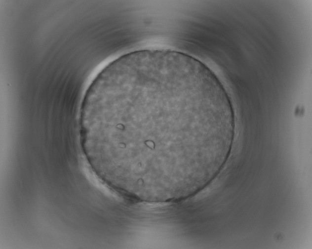 X0000112530864200909141245