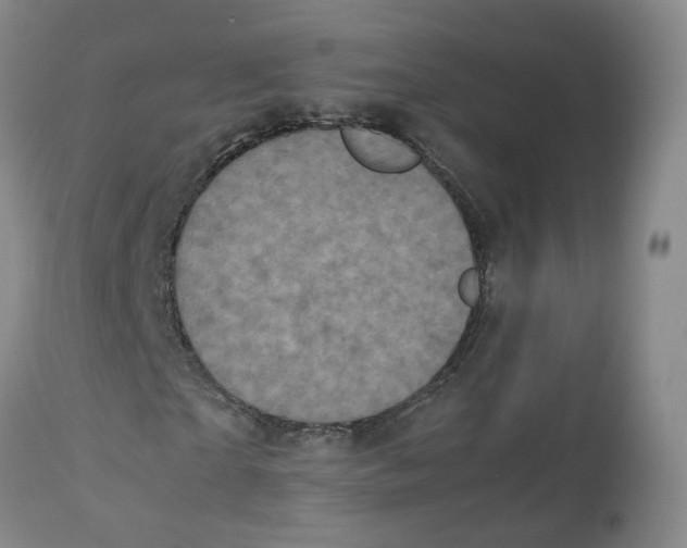 X0000112530865200909141245