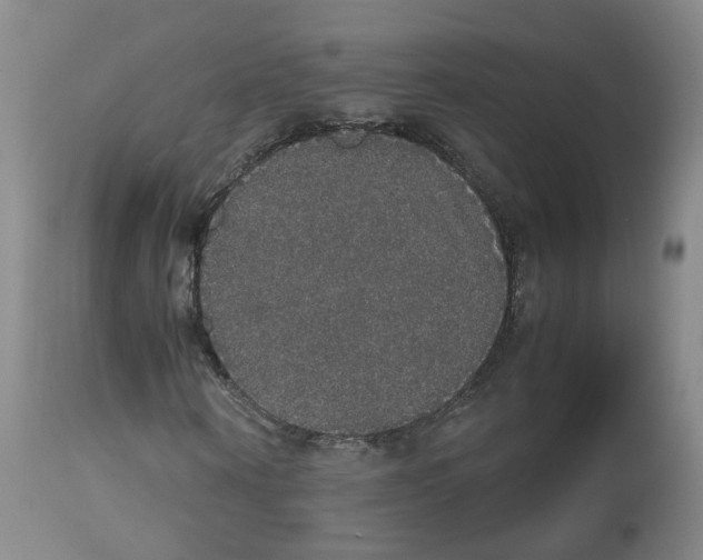 X0000112530866200909141245