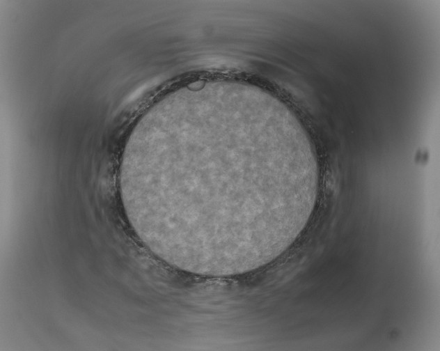 X0000112530869200909141245