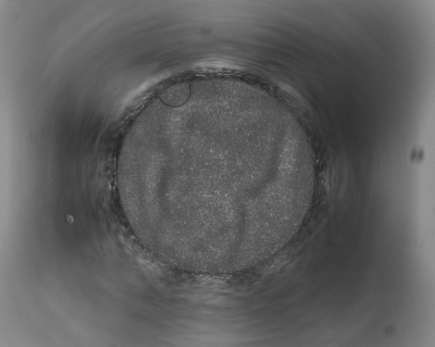 X0000112530870200909141245