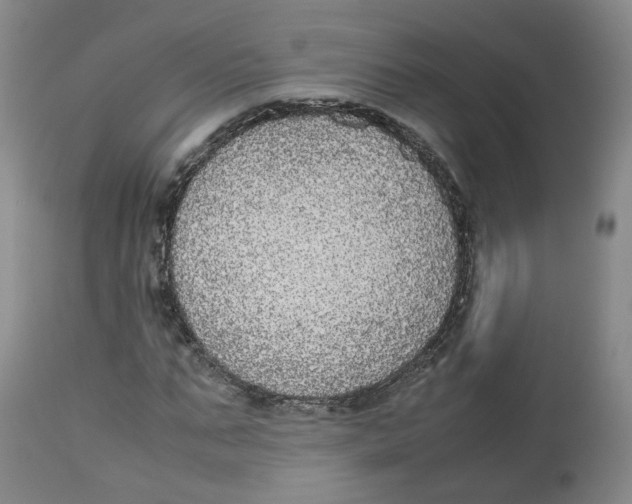 X0000112530871200909141245