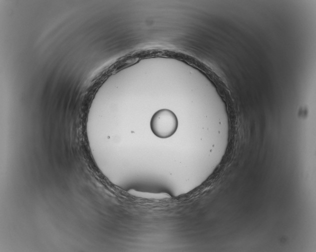 X0000112530872200909141245