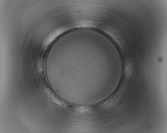 X0000112530874200909141245