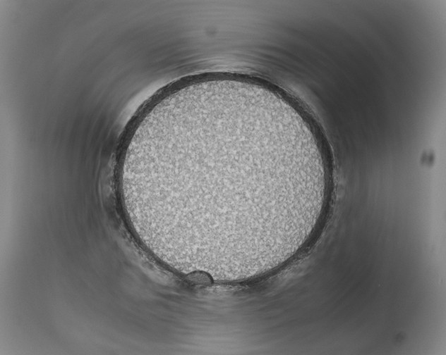 X0000112530875200909141245