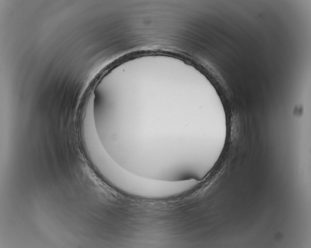 X0000112530876200909141245