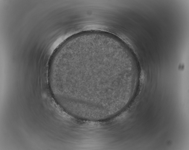 X0000112530877200909141245